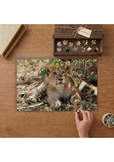 Dinlenen Aslan Tasarımı 240 Parça Ahşap Puzzle Ahşap Kutuda Mpy40099