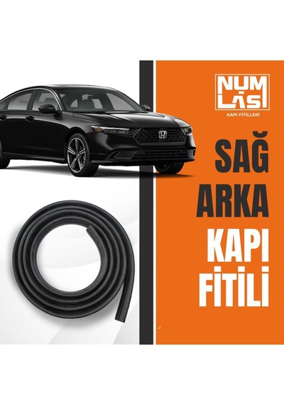 Honda Accord 2020-2025 Sağ Arka Kapı Fitili-a Kalite-numlas-nm6002