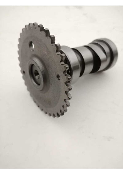 Sc150 Eksentrik Mili 6/a Sc0405