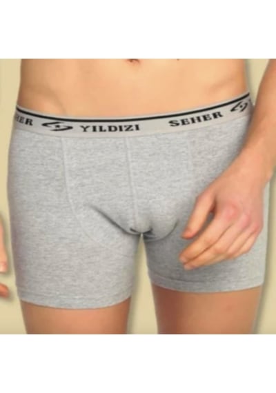 Seher Yıldızı Elastan Boxer Ser0060 6'lı Paket Gri