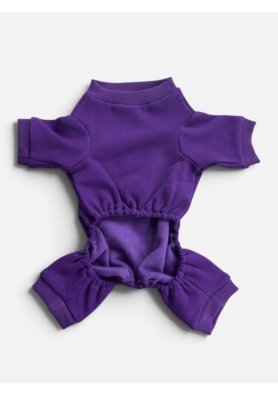 Violet Wings Kedi Bere Ve Tulum Kombini Mor Renk 3d Kelebek Aksesuarlı Penye Kedi Kıyafeti 2 Parça
