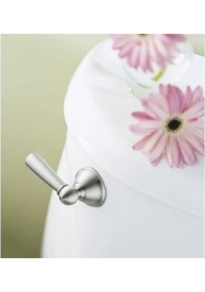 Brushed Nickel - Moen Dn6801bn Sage Inspirations Toilet Tank Le Diğer