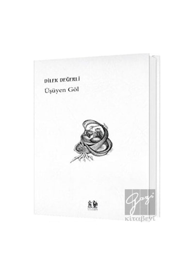 Pikaresk Yayınevi - Üşüyen Göl