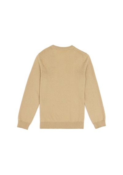 U.S. Polo Assn. Erkek Çocuk Açık Haki Basic V Yaka Kazak 50294200-VR183