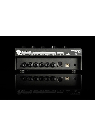 Moog Minitaur Analog Synthesizer