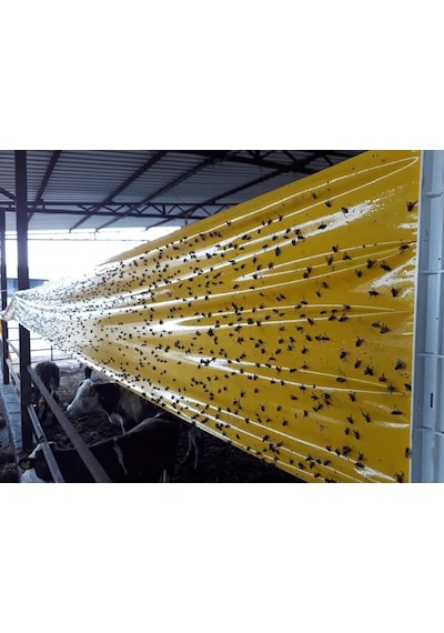 Karasinek Tuzagı Sinbant Ahırlar Çiftlikler Vs Için 30Cmx5O Metre