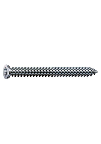 SPAX-RA Dübelsiz Montaj Vidası, 7,5 x 100 mm, 100 Adet