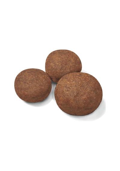 Ayrex Medium Junior Orta Irk Yavru Köpek Maması 4 Kg