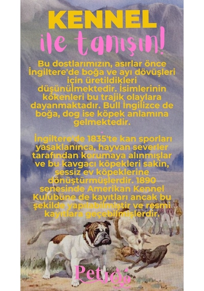 Petjoo 16.Kennel Pembe-Sarı Qr'lı Köpek Künyesi