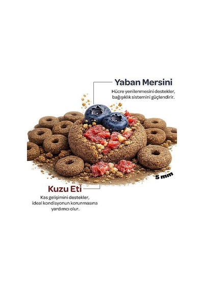 Obivan Kuzu Etli Ve Yaban Mersinli Yetişkin Kedi Maması 2 Kg