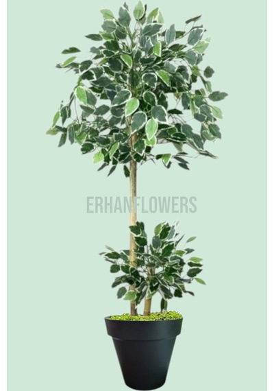 150 Cm Ficus Yapay Ağaç Bambu 2 Gövdeli Siyah Plastik Saksı Yeşil