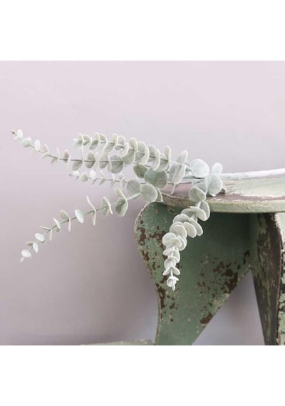 Yapay Çiçek Pastel Karlı Okaliptus 48cm 5dallı Uzun Dal Eucalyptus