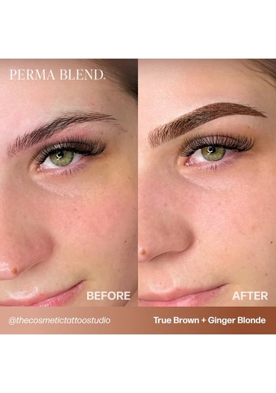Perma Blend True Brown Kalıcı Makyaj Kaş Pigmenti 15ml Diğer