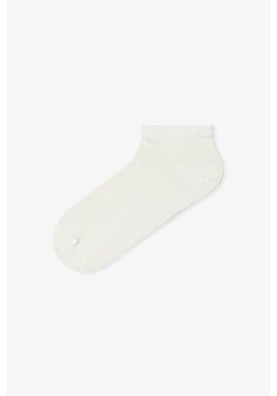 Penti Renklied Thin Stripes 5'li Patik Çorap