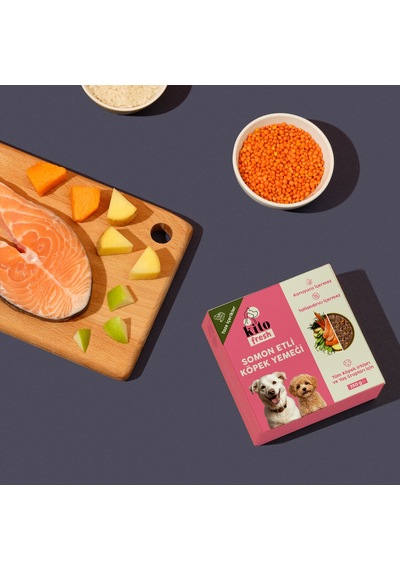 Kito Fresh Somon Etli Taze Yetişkin Köpek Yemeği 6 x 250 G