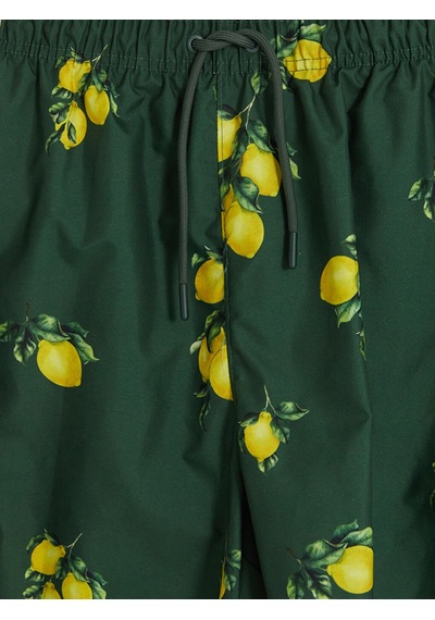 Lcw Swımwear Yeşil Kısa Limon Desenli Erkek Deniz Şortu
