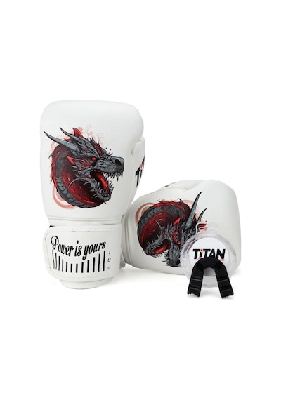 Titan Sport Ejderha Desenli Setli Fgr Model-11 Boks Eldiveni Çok Renkli
