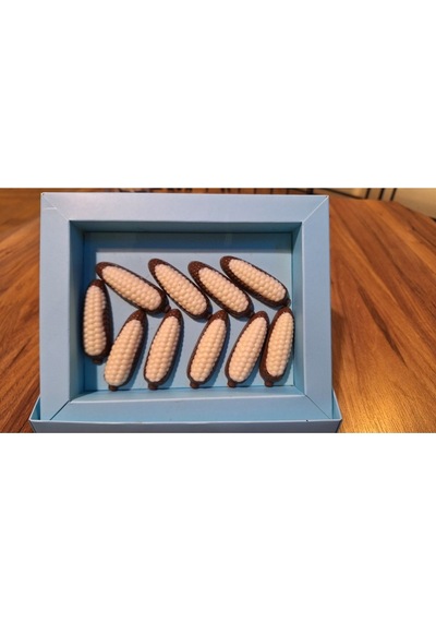 Mısır Spesiyal Hediyelik Çikolata 750 Gr