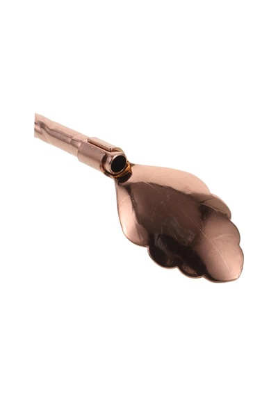 6'lı Bronz Pipetli Latte Kaşığı Kokteyl Kaşığı Ve Temizleme Fırçası, 22 Cm Yaprak Model Bronz