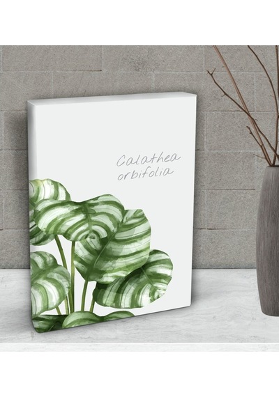 Bk Gift Green Plant Tasarımlı Dekoratif Mini Kanvas Tablo 15X20Cm (506660602)