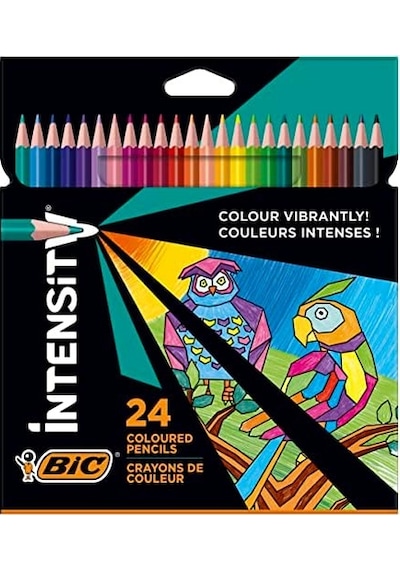 Color Up Üçgen Kuru Boya Kalemi, 24'lü Kutu 103 Ivory