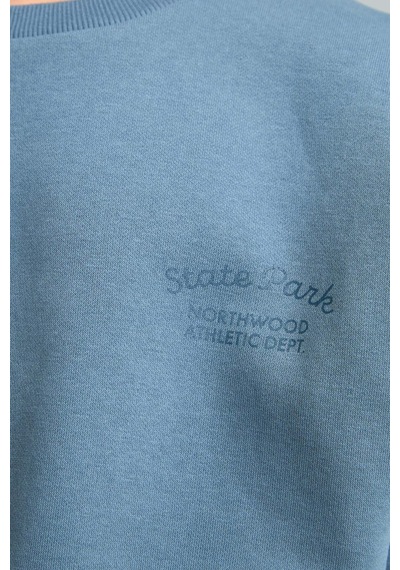 Defacto Bisiklet Yaka Efekt Nakışlı Sweatshirt Erkek Çocuk H9683a826wnbe739 Mavi-be739