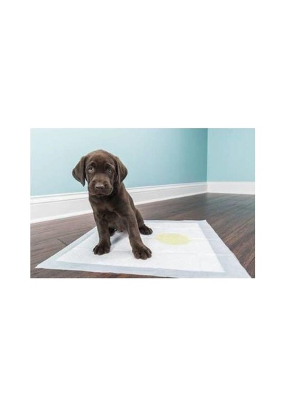Markapet-köpek Tuvalet Çiş Eğitim Pedi 60x60 Cm 20 Adet