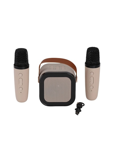Emr-102 Kutulu 2li Karaoke Mikrofon Standart