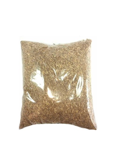 Çim Tohumu 500 Gr