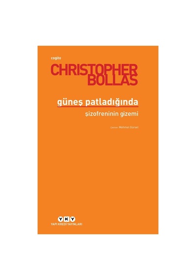 Güneş Patladığında: Hayat Üzerine Düşünceler