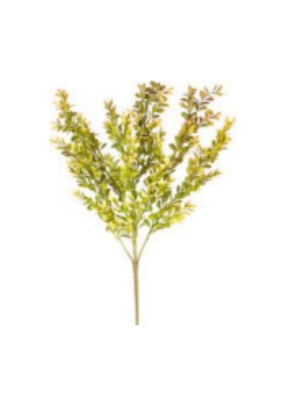Yapay Bitki Şimşir Kahve/yeşil 55 Cm Çok Renkli