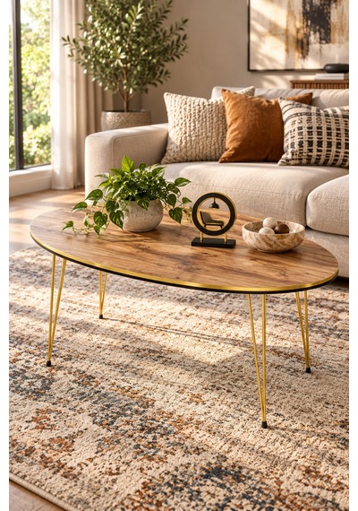 Odera Ceviz Oval Çekmeceli Orta Sehpa Siyah- Detaylı Metal Ayaklı İskandinav Modern Salon Sehpası Diğer Odera Ceviz Oval Çekmeceli Orta Sehpa Siyah- Detaylı Metal Ayaklı İskandinav Modern Salon Sehpası Diğer