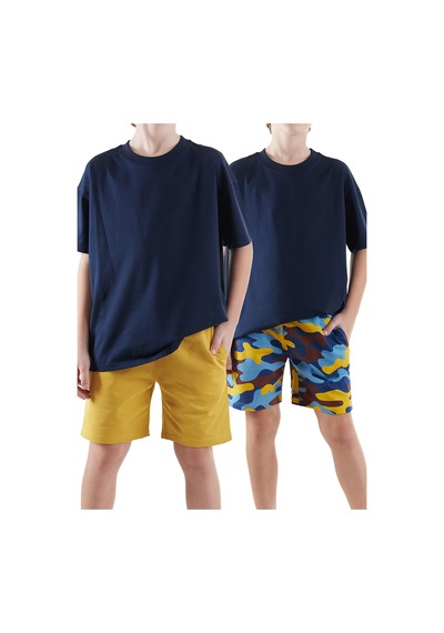 Denokids Erkek Çocuk Basic 2'li Şort Takım Renkli