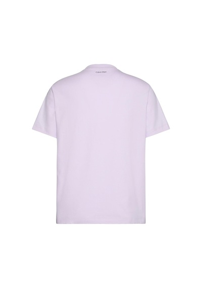 Calvin Klein 20s March Graphic Seasonal Fashion Lila Erkek T-shirt-13197 Lila
