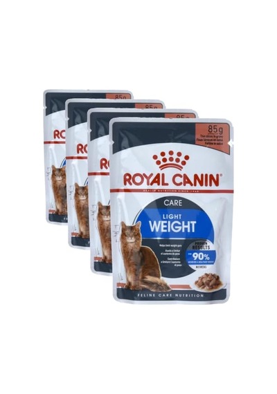 Somonlu Yetişkin Kedi Sı 1 Kg 100 G