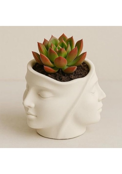 Dekoratif Yüz Saksı Taş Tozu Sukulent Saksısı, Modern Minimalist Masa Dekoru, El Yapımı Sukulent Saksı, Kalemlik & Makyaj Fırçası Organizer, 11 Cm