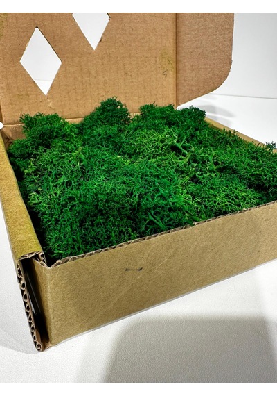 Reindermoss Şoklanmış Norveç Yosunu Terarium Yosunu Grass Green 100 Gr.