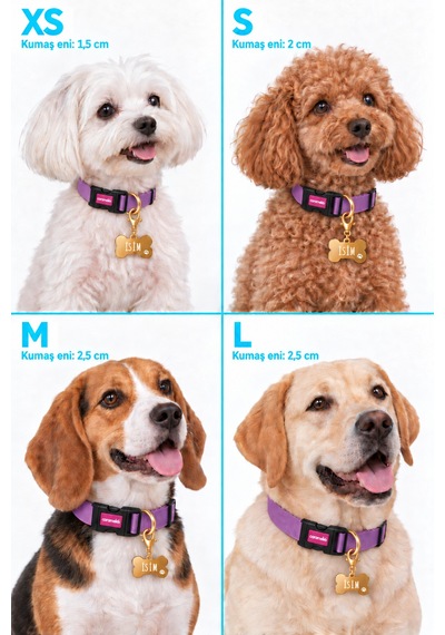 Caramelos İsimli Köpek Tasması, Ayarlanabilir Yavru, Mini, Orta Ve Büyük Irk Köpek Tasması, Lila