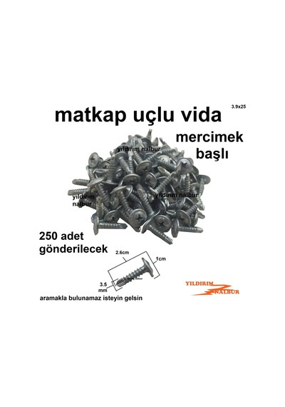 250 ADET MATKAP UÇLU AKILLI VİDA 2.5 CM MERCİMEK BAŞLI VİDA YILDI