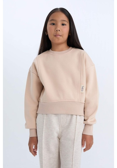 DeFacto Kız Çocuk Relax Fit Bisiklet Yaka Basic Düz İçi Yumuşak Tüylü Kalın Sweatshirt D4298A824WNBG390 Bej DeFacto Kız Çocuk Relax Fit Bisiklet Yaka Basic Düz İçi Yumuşak Tüylü Kalın Sweatshirt D4298A824WNBG390 Bej