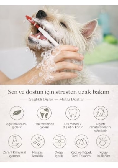 Dr. Animal Blood Support Paste 75 Gr Fenni Karma Yem