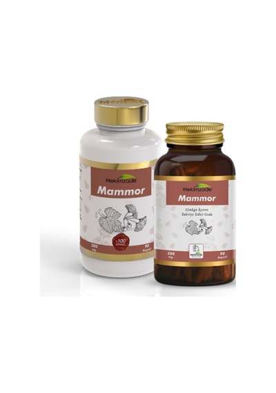 Hekimzade Mammor Ginkgo İçeren Takviye Edici Gıda 500mg 90 Kapsül