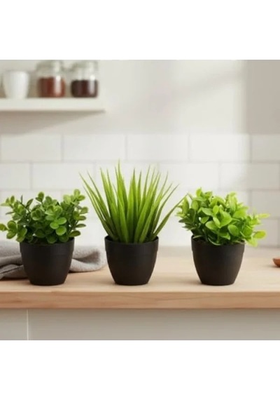 3'lü Mini Yapay Sukulent Seti, 8 Cm Saksı İle 20beyazcipso