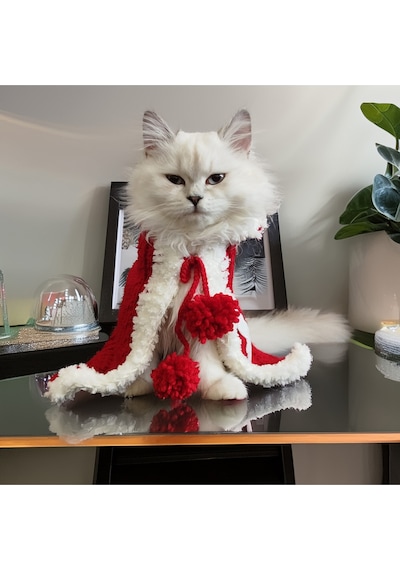 Kedi Ve Köpek İçin Kırmızı Beyaz Kapüşonlu Pelerin