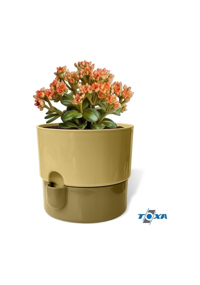 Dora Saksı Tabaklı Çiçek Kaktüs Saksısı Parlak Plastik Saksı 2 Adet, Gri&krem, 2l, 16cm Diğer