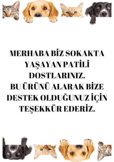 Trade Bazaar 3 Katlı 3 Toplu Kedi Oyuncağı
