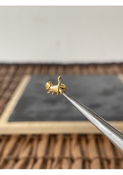 Yüksek Kalite G23 Titanium Kedi Altın Titanyum 6 X 1.2 MM Labret Piercing Altın