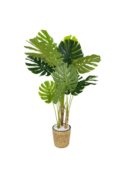 Biçiçek Yapay Monstera Ağacı Deve Tabani 150 Cm Su Sümbülü Hasir Saksıda