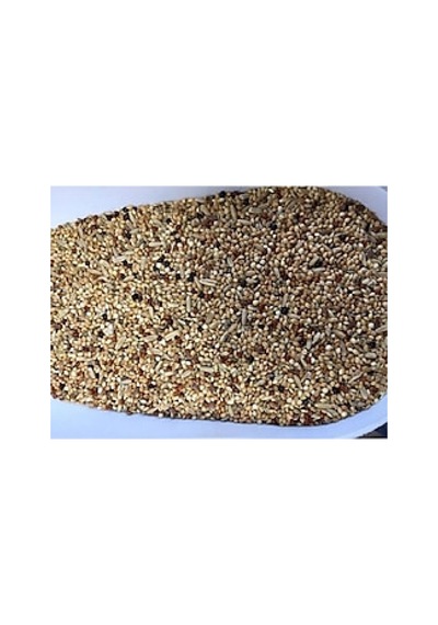 Sude Life Muhabet Kuşu Yemi 800 Gr