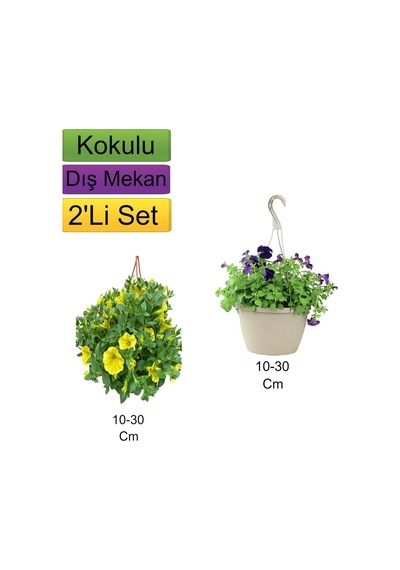 2'li Set Sarı + Mor Renkli Petunya Çiçeği